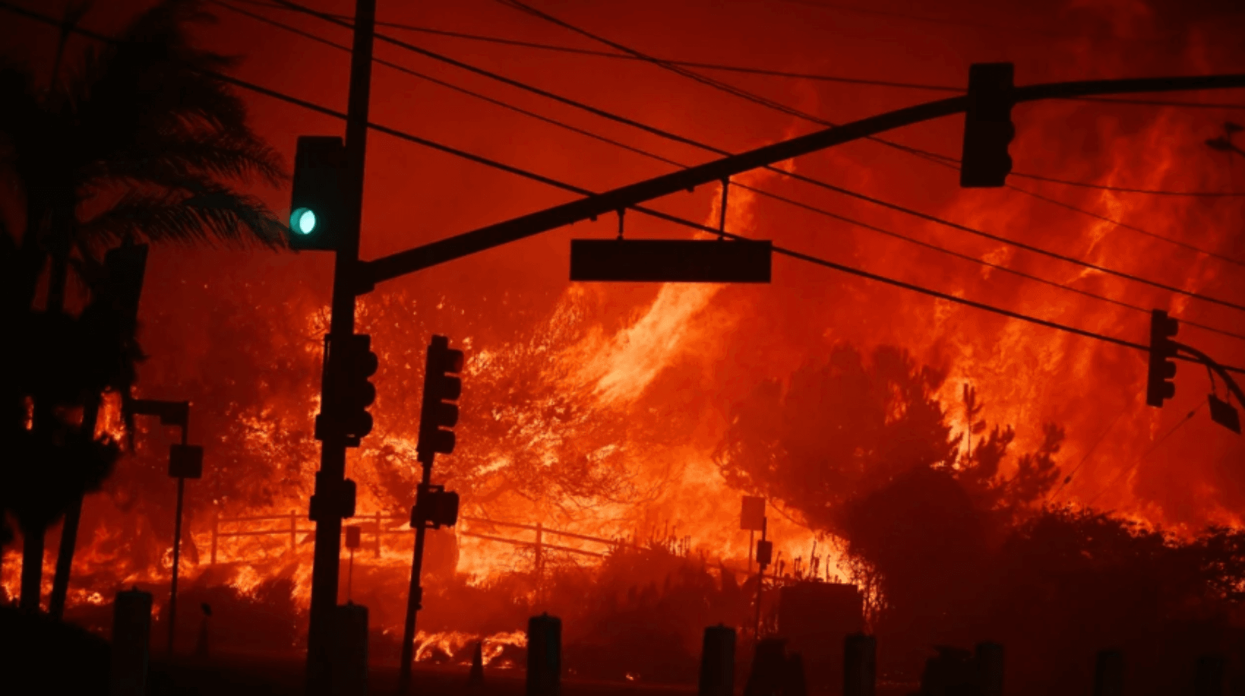 Fire Scandal in the U.S.: Hollywood Burns, Mayor Under Fire for Cutting ...