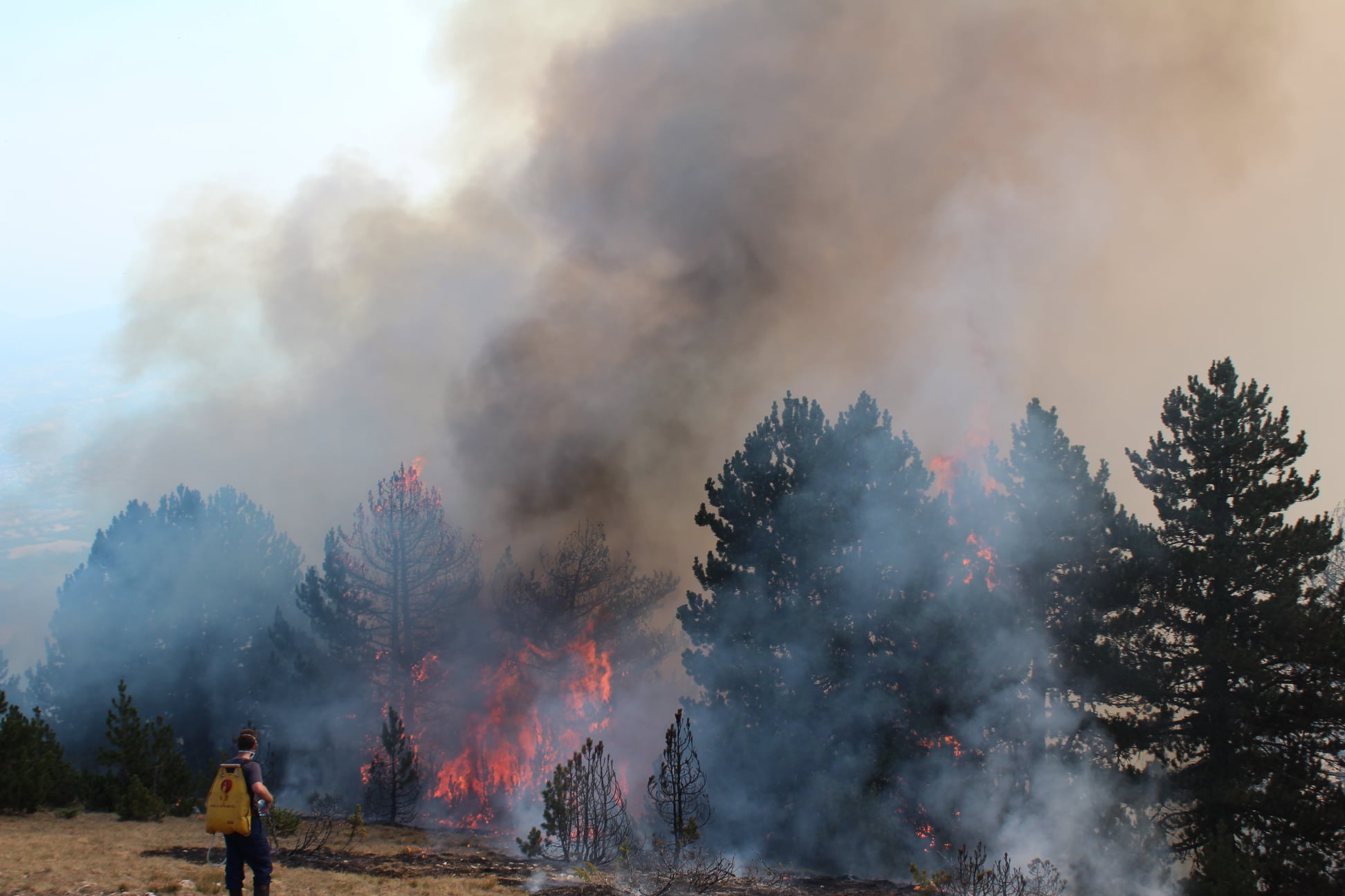 High Temperatures: Emergency Agency Warns of Fire Risk and Legal ...