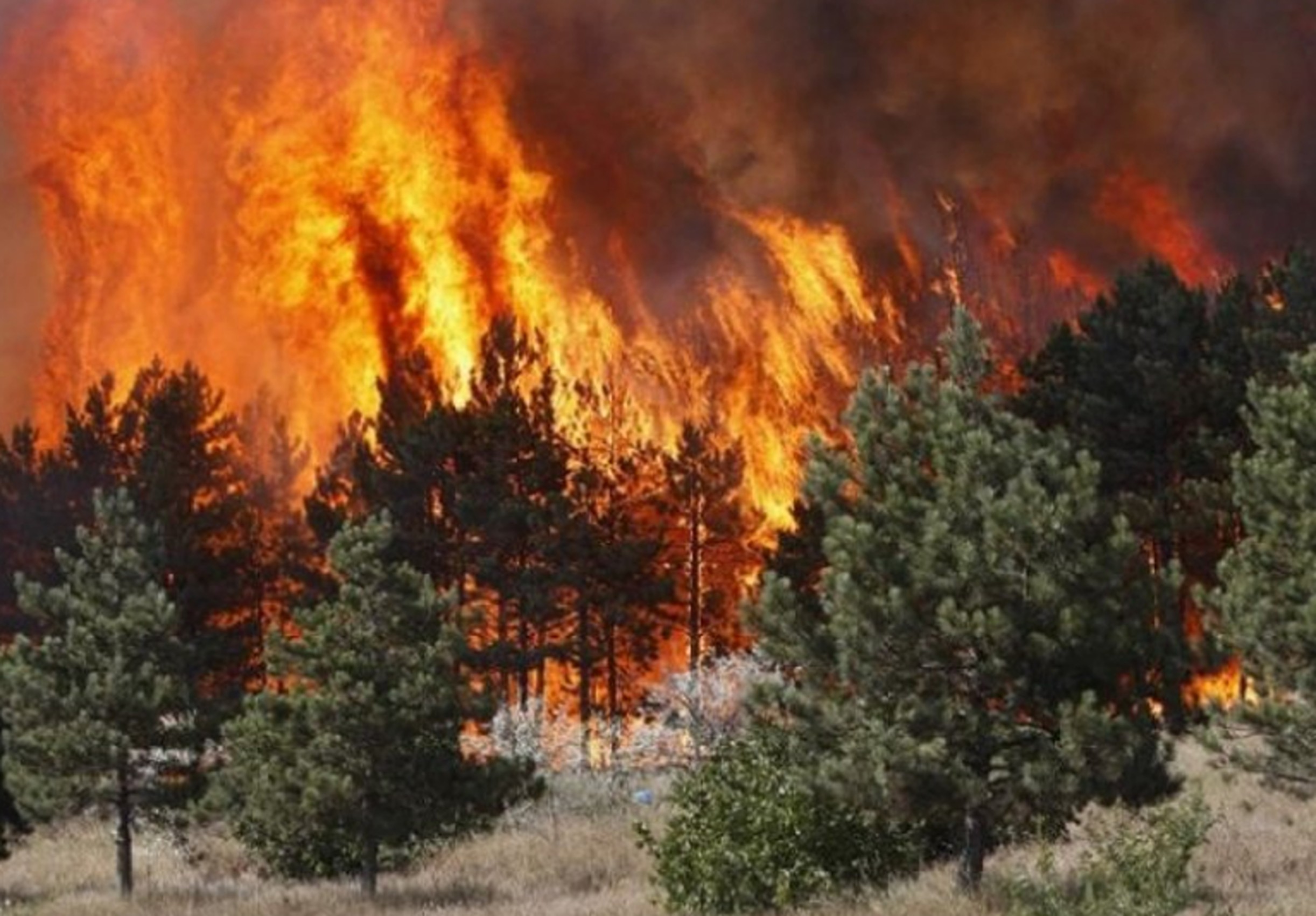Peja Police Issue Public Appeal on Fire Safety Amid High Temperatures ...