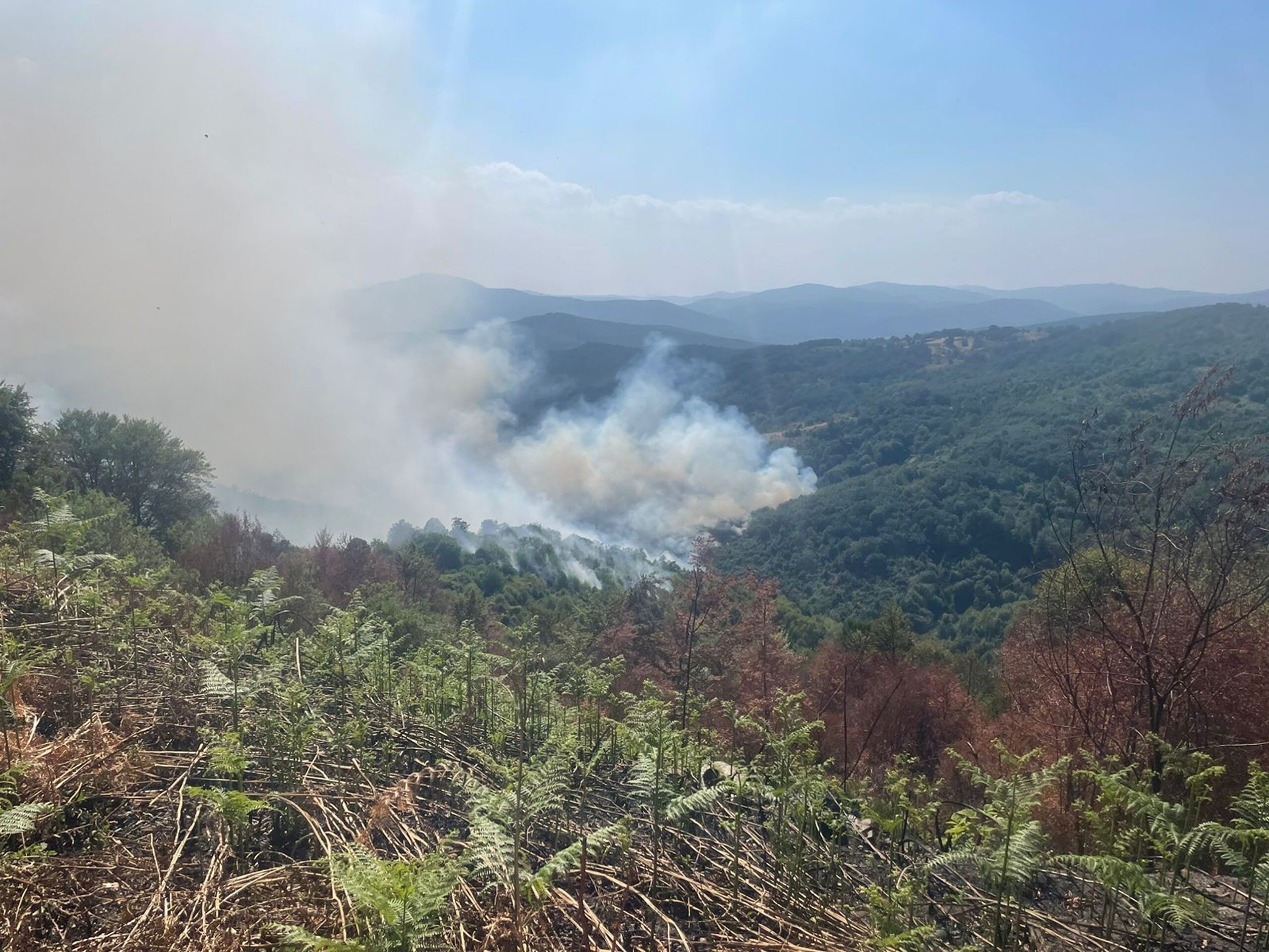 25 Fire Outbreaks Reported in Kosovo Today, Three Still Active - Rks News